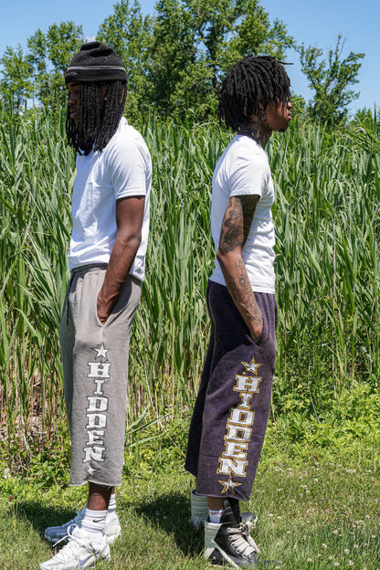 Hidden Starz “Hidden” Shorts