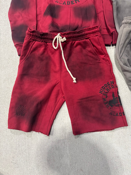 Hidden Starz “Academy” Shorts