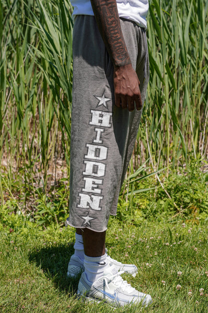 Hidden Starz “Hidden” Shorts